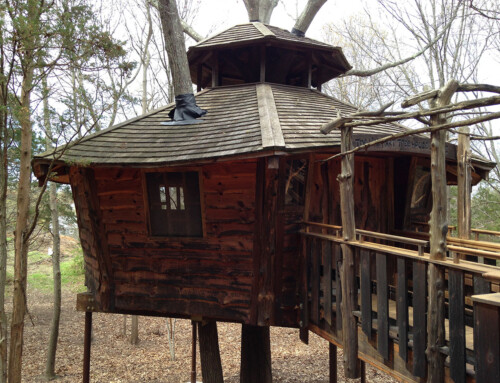 The Treehouse at Crystal Springs﻿